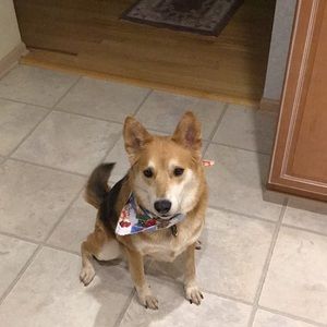 ALL ITEMS BEYOND THIS POINT HAVE BEEN SOLD➡️ THNX!